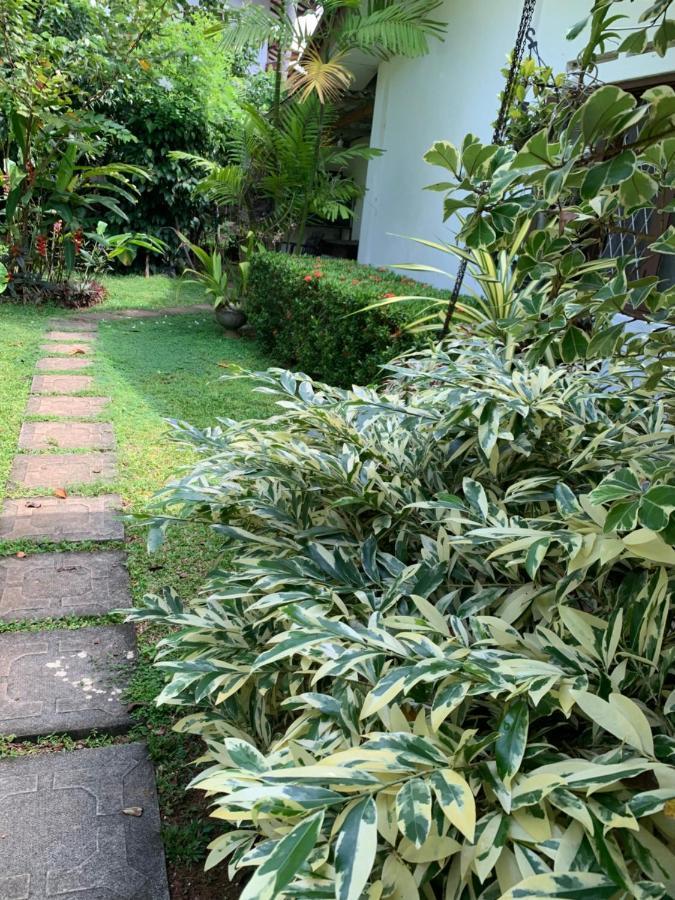 Tranquil Private Villa Near Bentota Beach Ngoại thất bức ảnh