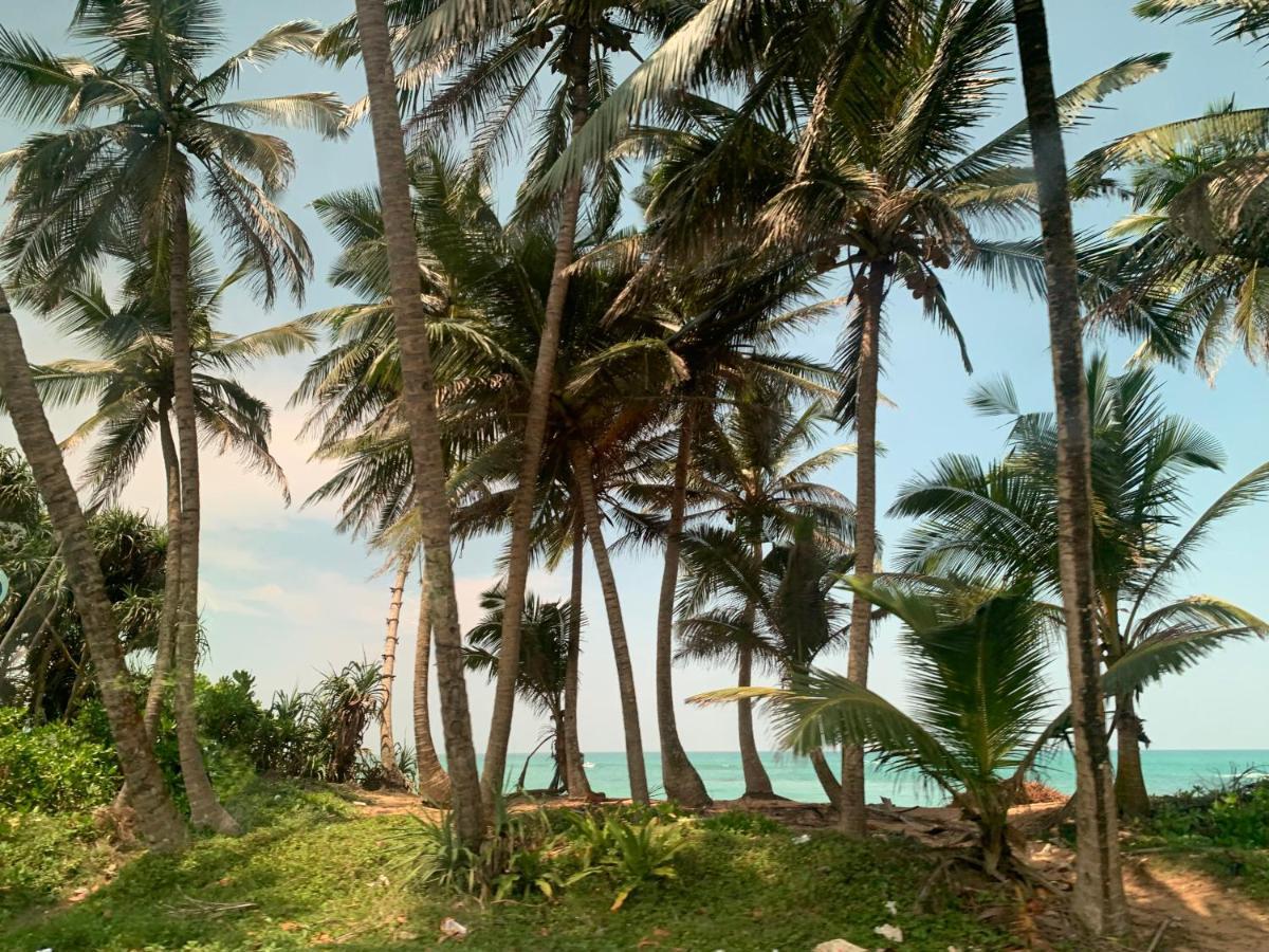 Tranquil Private Villa Near Bentota Beach Ngoại thất bức ảnh