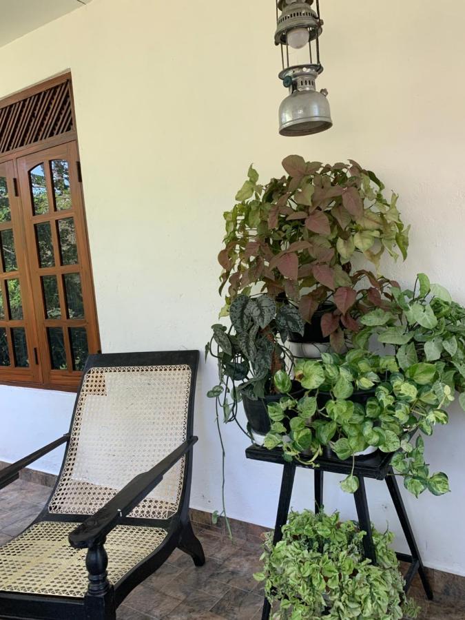 Tranquil Private Villa Near Bentota Beach Ngoại thất bức ảnh