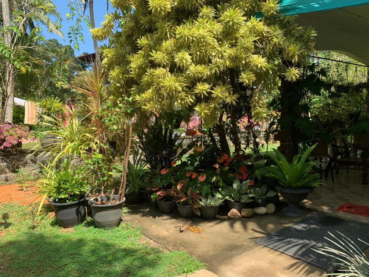 Tranquil Private Villa Near Bentota Beach Ngoại thất bức ảnh