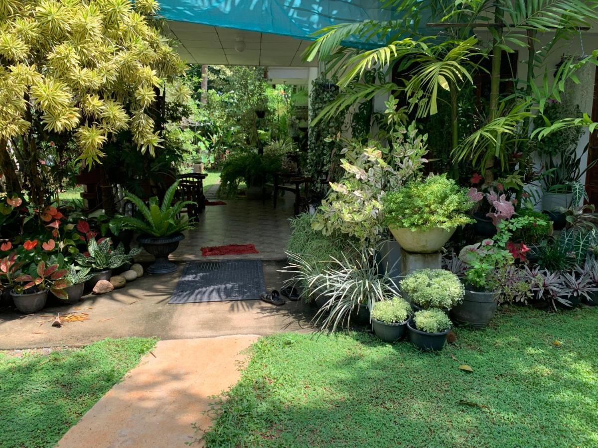 Tranquil Private Villa Near Bentota Beach Ngoại thất bức ảnh